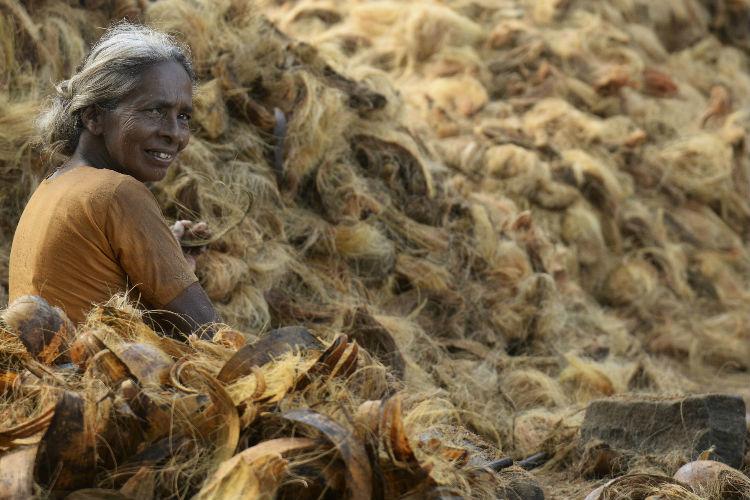 Christmas bonus 29.90% for coir factory workers